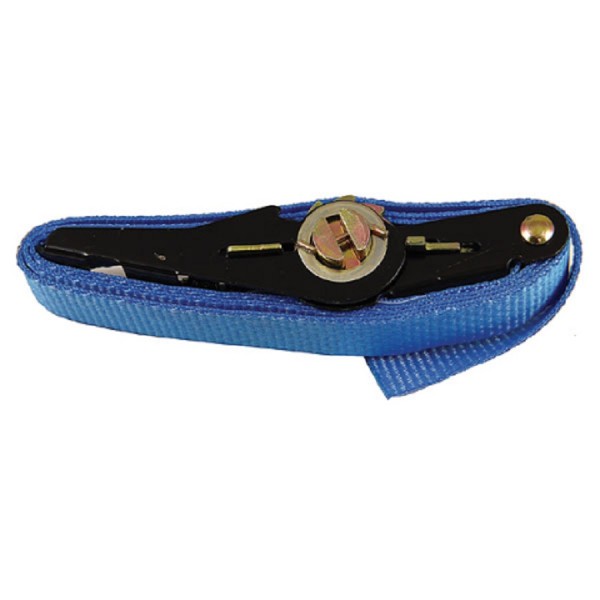 Strap Temporary Hold No.1 logo
