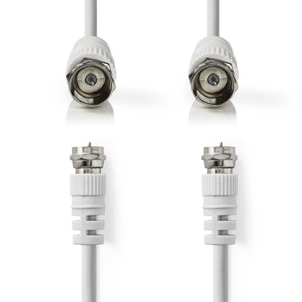 F-Type Leads