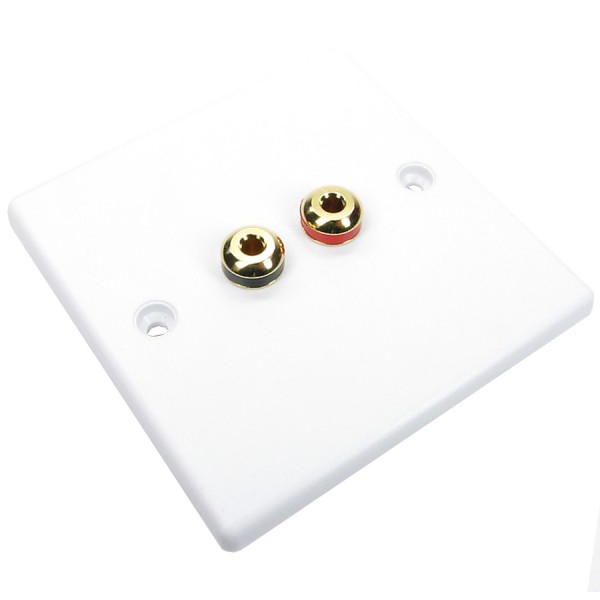 Speaker Faceplates