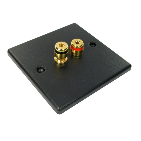 Speaker Faceplates