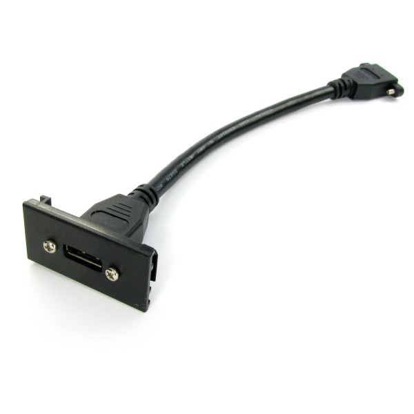 Euro DisplayPort Modules