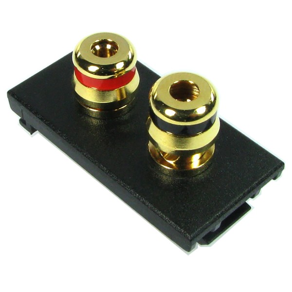 Euro Speaker Modules