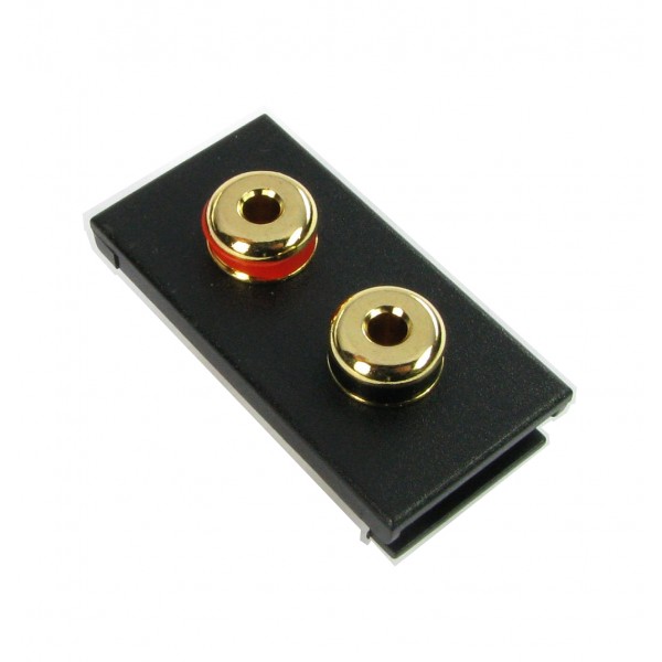 Euro Speaker Modules