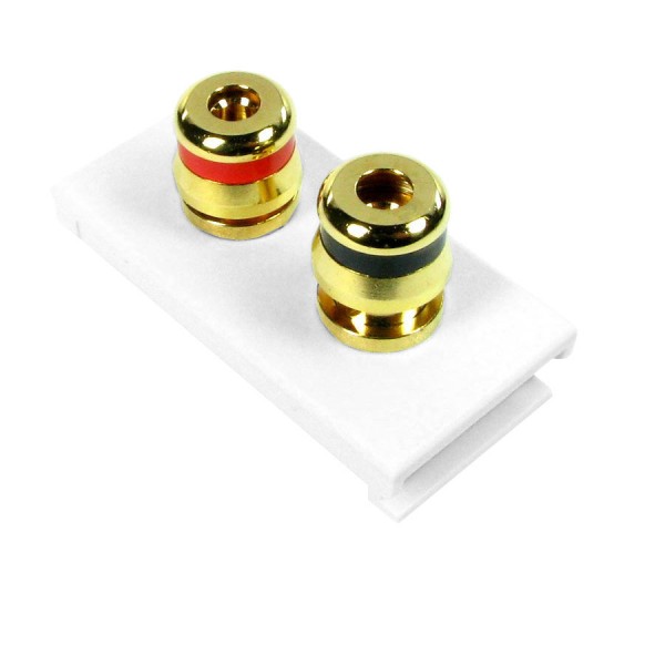 Euro Speaker Modules