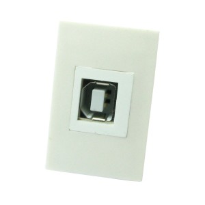 LJ6C Module Quick Connect Coupler USB2.0 B White