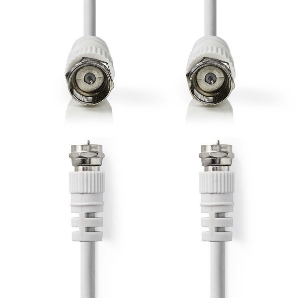 F-Type Leads