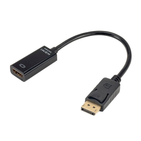 DisplayPort Adaptor