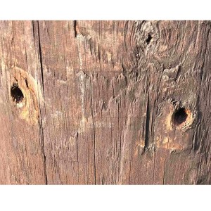 Plugs Creosote (L)50mm (Dia)10mm