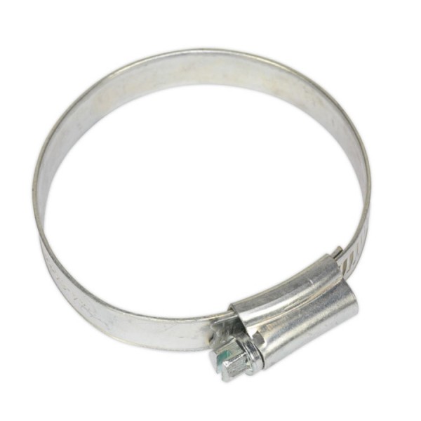 Zinc Plated Hose Clips