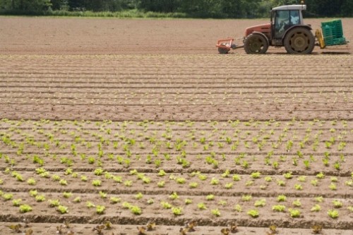 Rural broadband services 'not progressing', NFU warns